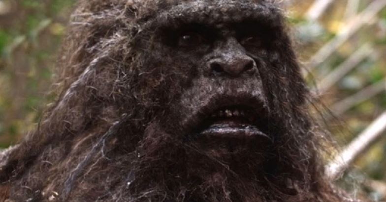 Skunk Ape Bones Found In Florida