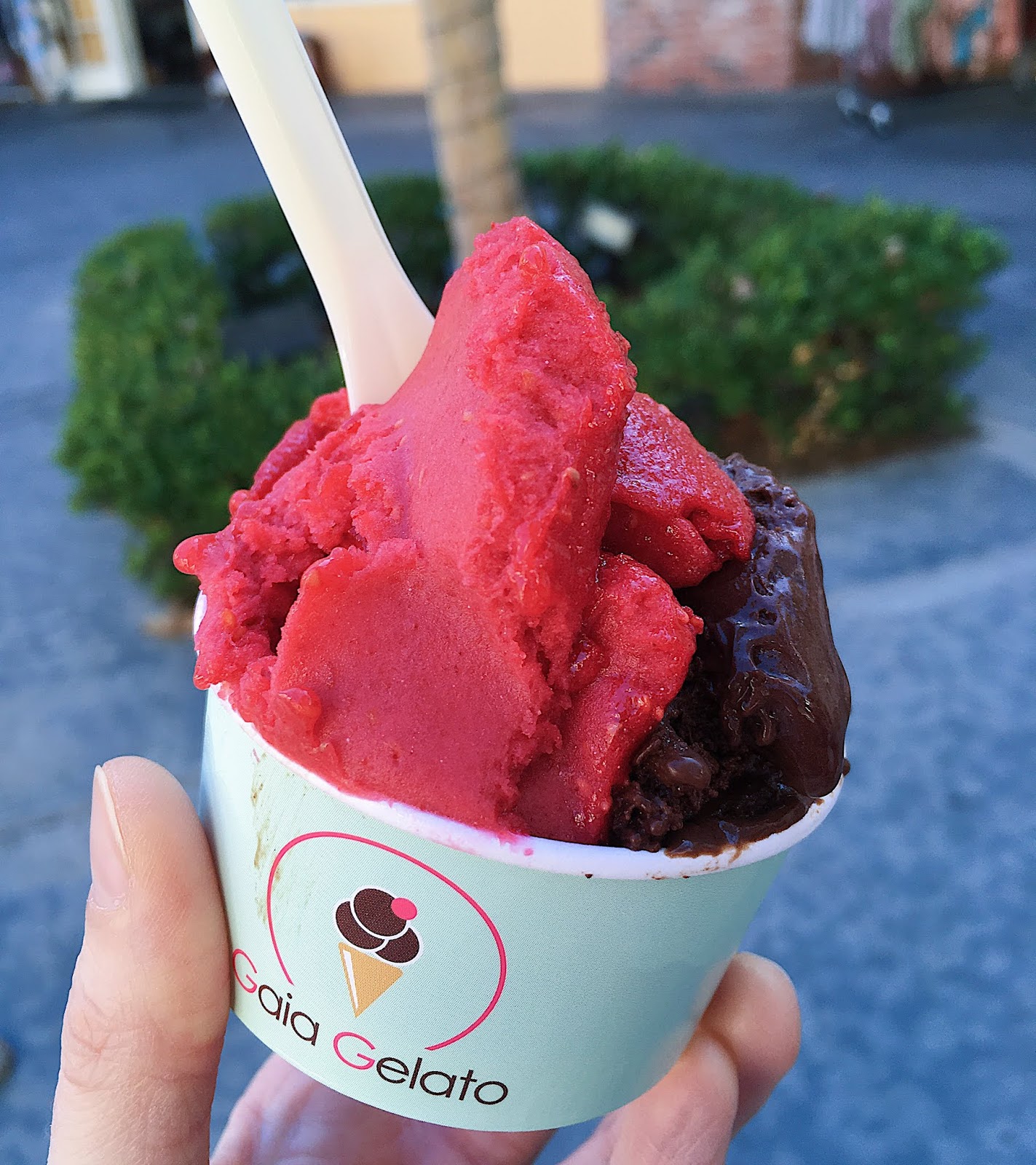 6 Delicious Restaurants to Eat Gluten Free Near San Diego