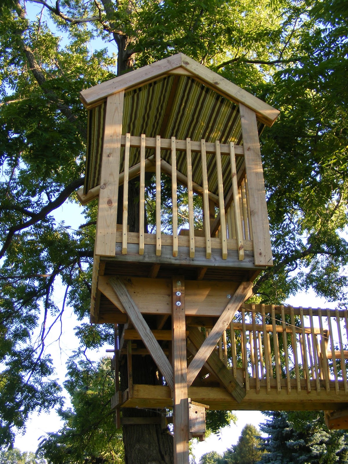 Tree Creations in Geneseo A Closer Look