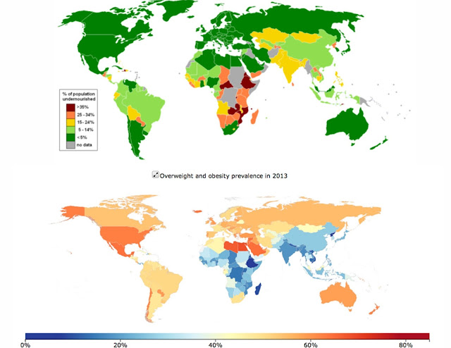 Worldwide malnourishment data from United Nations World Food Programme 2012, and the global prevalence of obesity.
