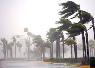 Resultado de imagem para furaca na praia