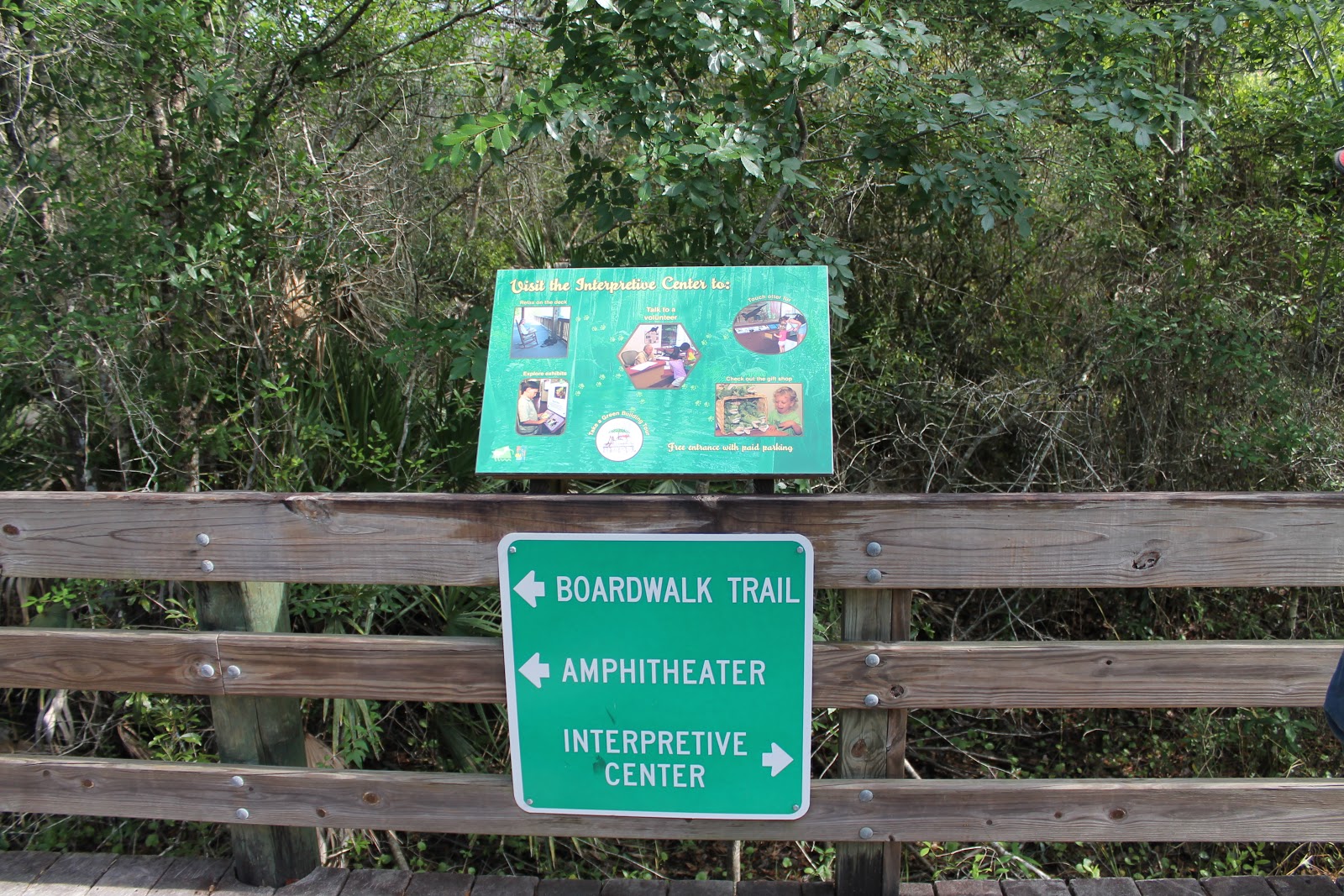 The Roadrunner Chronicles Six Mile Slough
