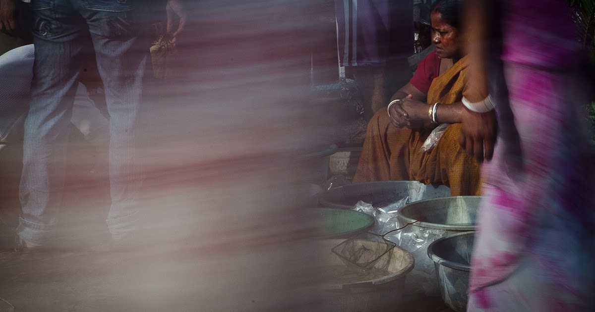Balarka Brahma: Kolkata Pet Market