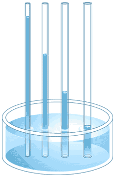 capillary action