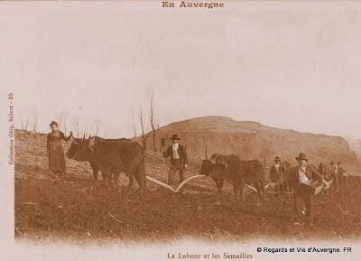 cpa laboureur Auvergne
