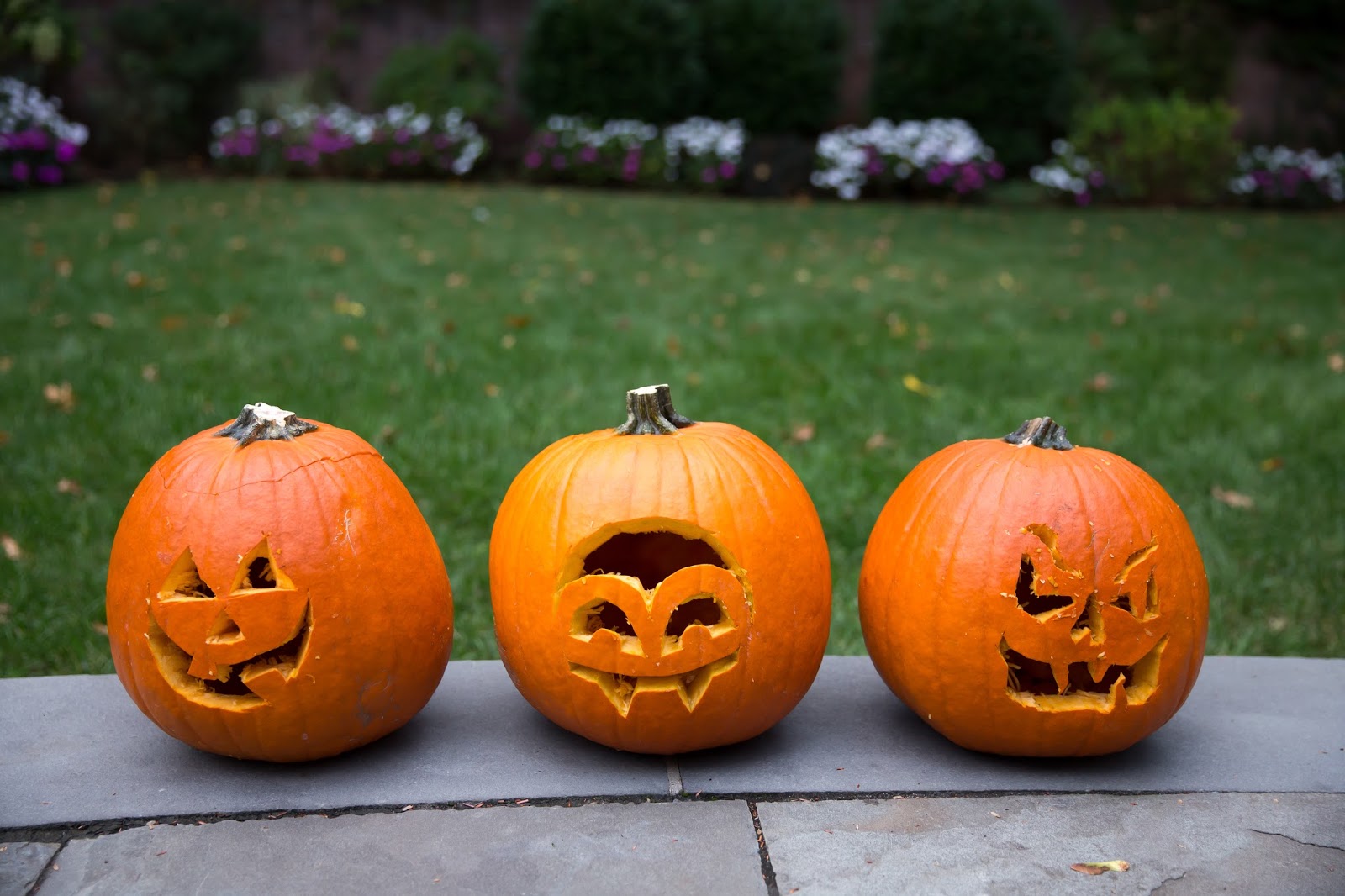 Autumn Leaves and Pumpkins Please!