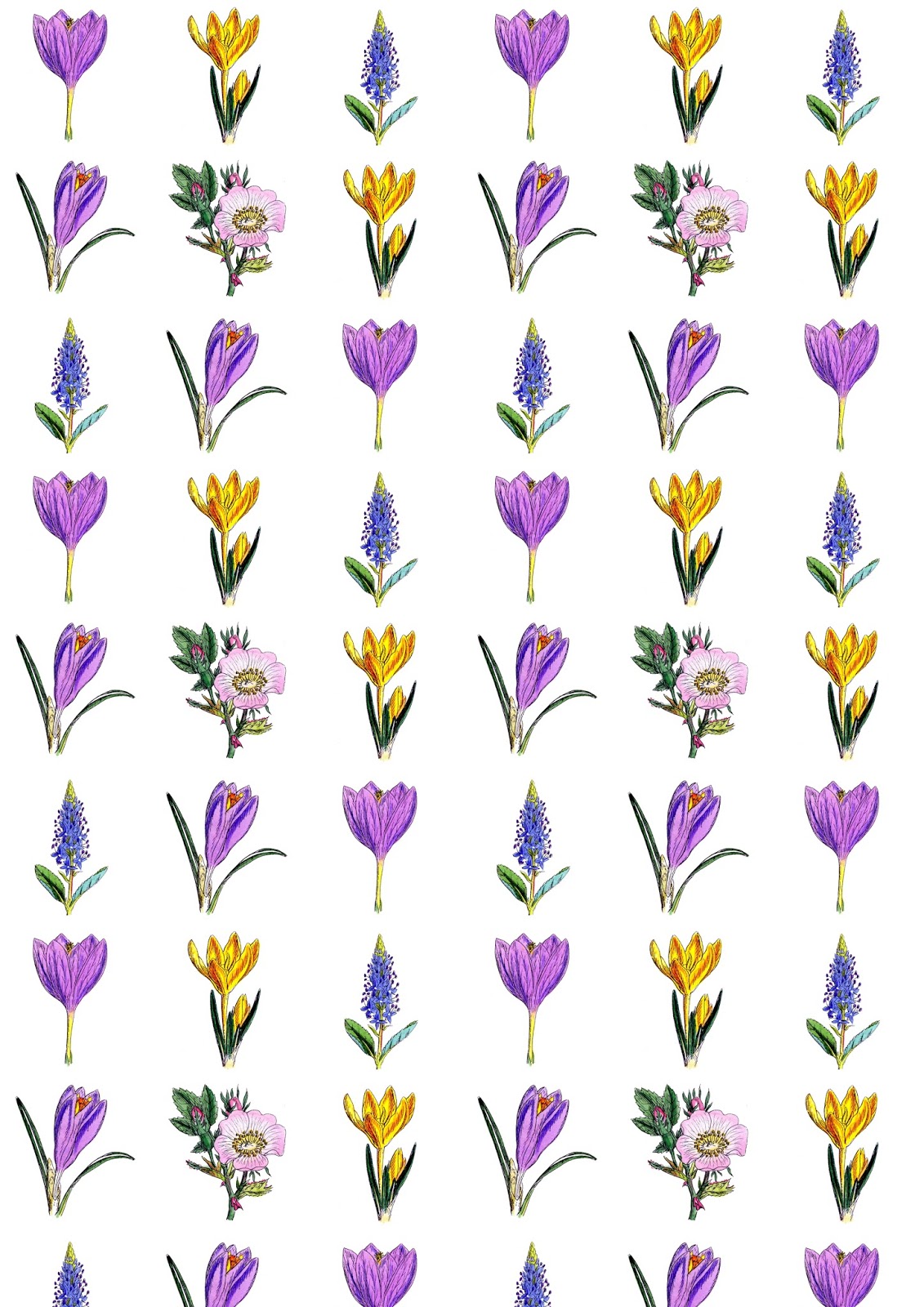 Free digital floral scrapbooking paper ausdruckbares Geschenkpapier