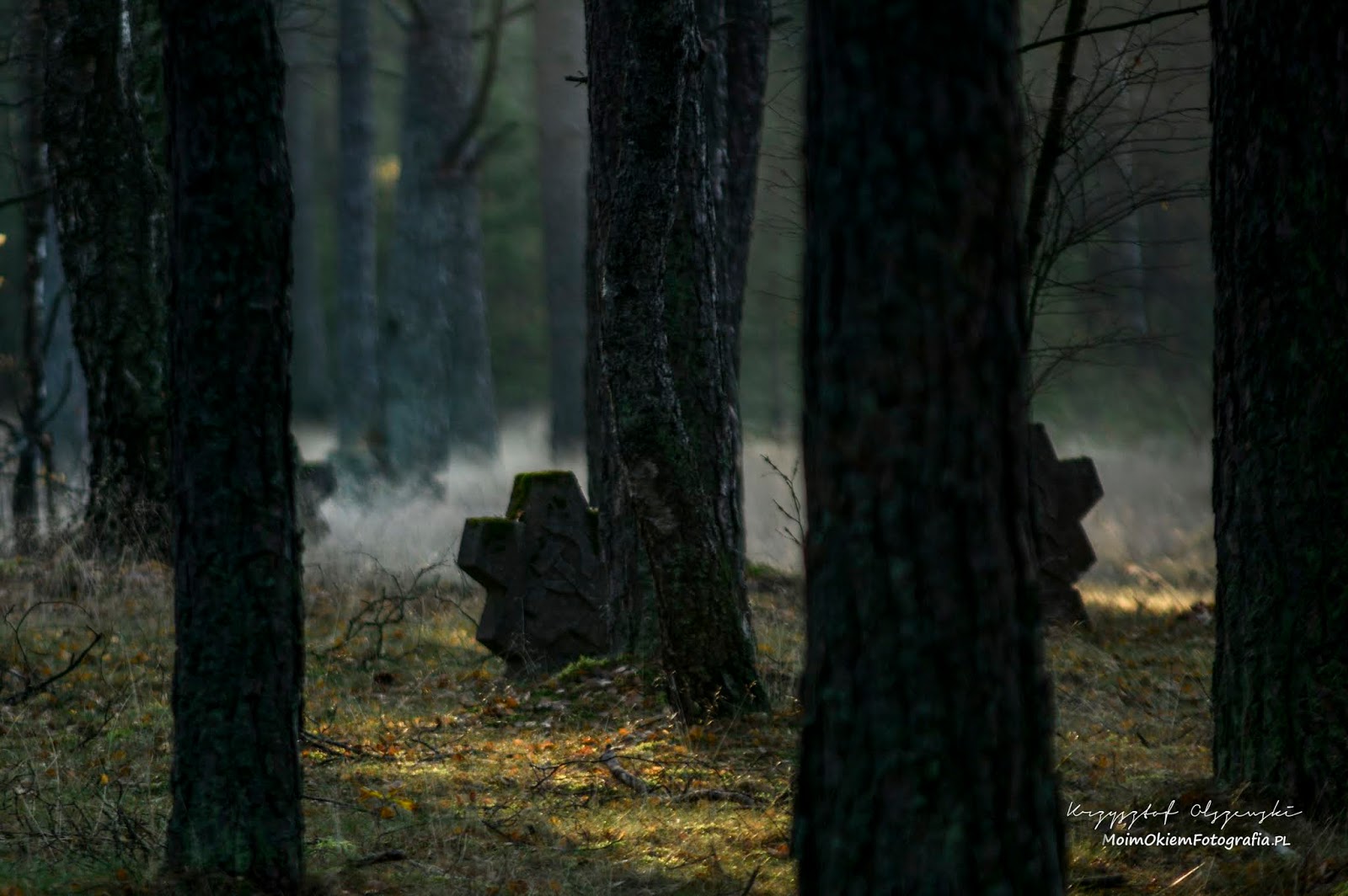 Stalag II B Hammerstein Moim Okiem Fotografia