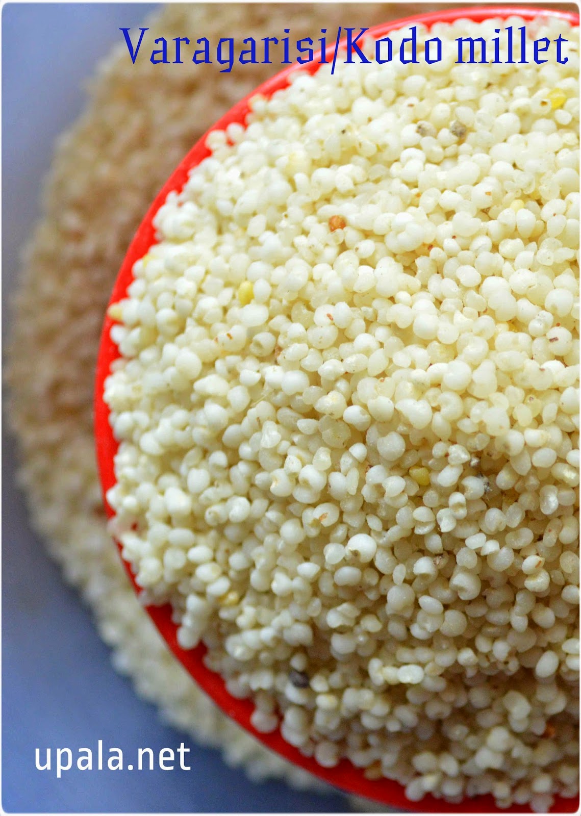 Upala Varagarisi/Kodo millet Idli