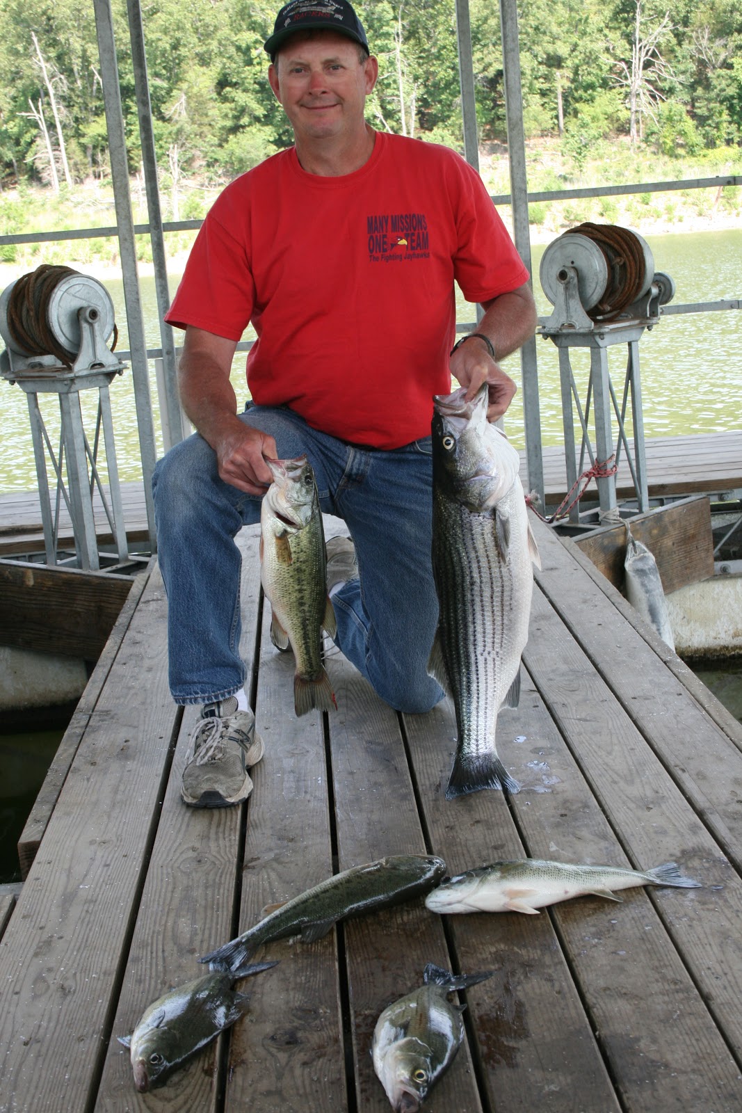 Hummingbird Hideaway Resort on Norfork Lake Norfork Lake Fishing Report