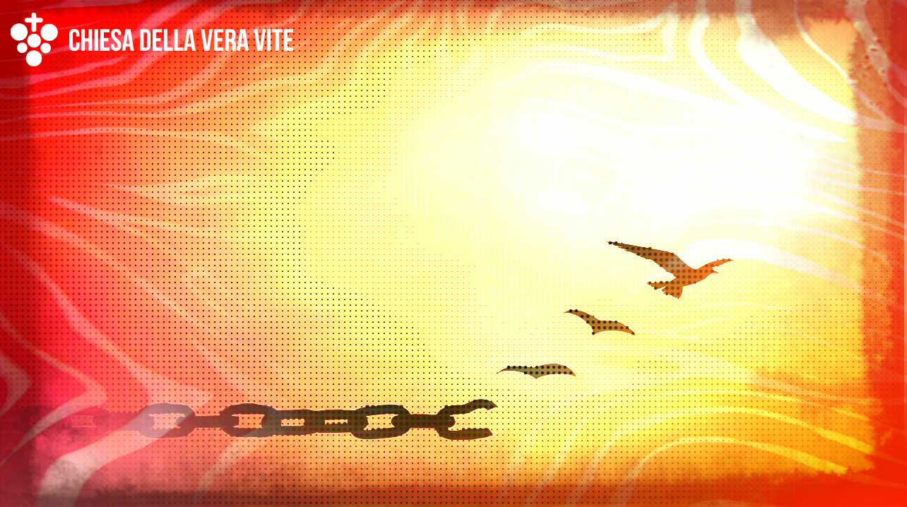 Perdonare Per Tornare Ad Essere Liberi 29 Aprile 18 Chiesa Cristiana Evangelica Della Vera Vite