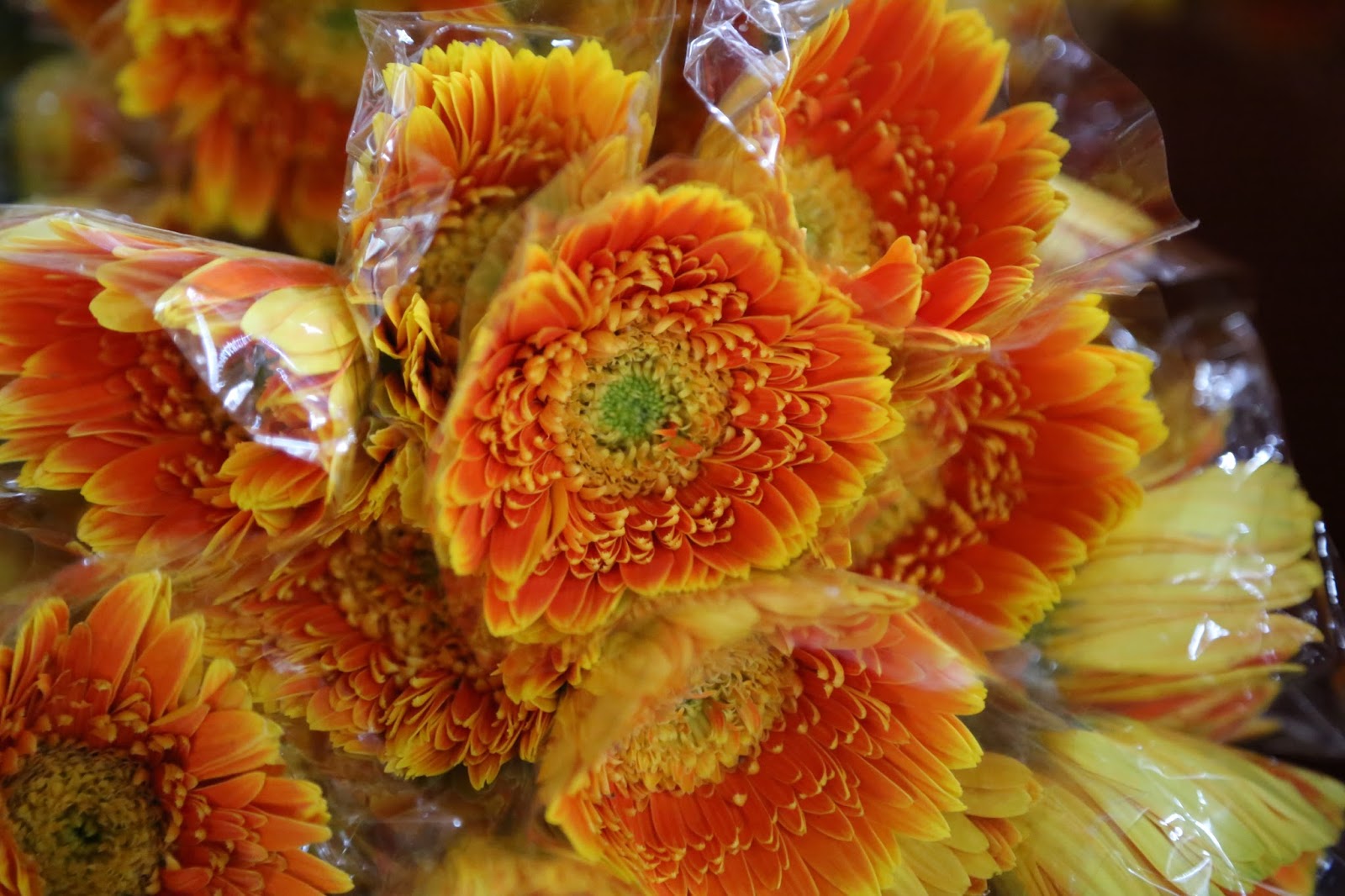 fresh flower wholesale online shop