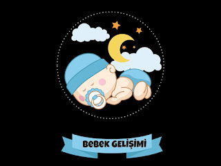 bebek-gelisimi