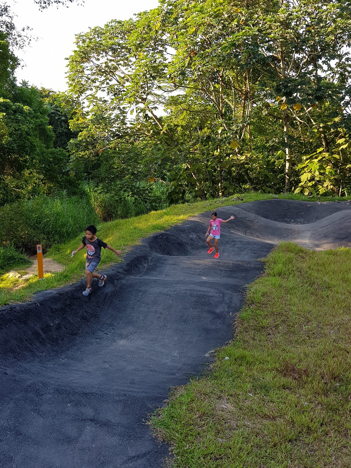 chestnut pump track