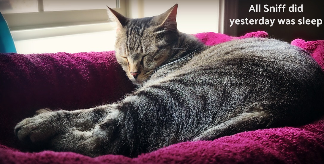 Nadiya Loving Every Moment March 2018