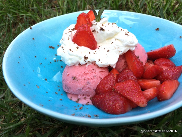Erdbeer-Joghurt Eis mit Minze und Schokolade