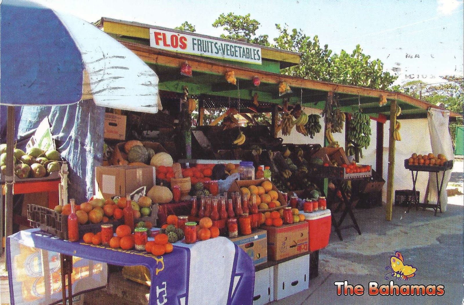 Fruits and Vegetables in the Bahamas ~ A Journey of Postcards