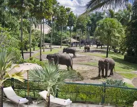 Lombok Elephant Park