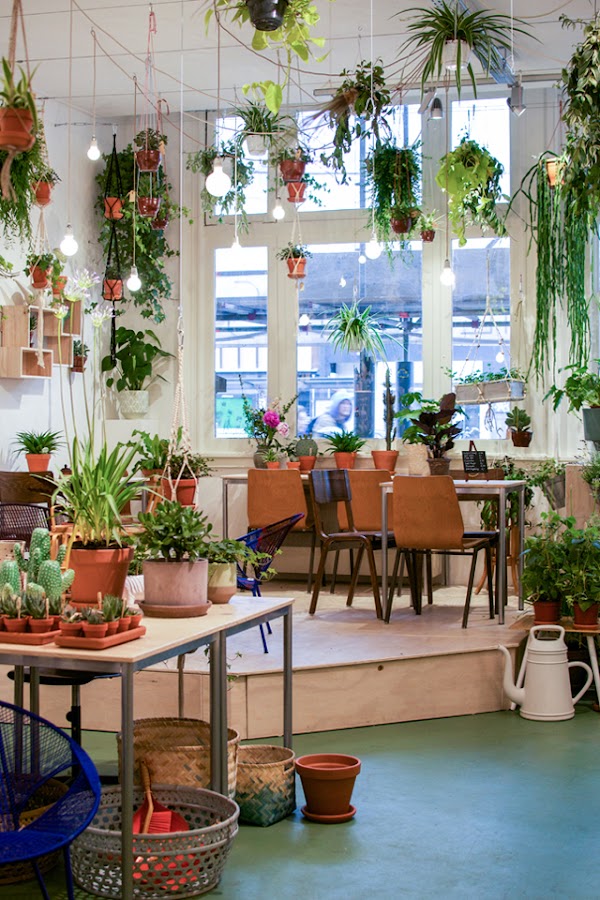 Urban Jungle Bloggers