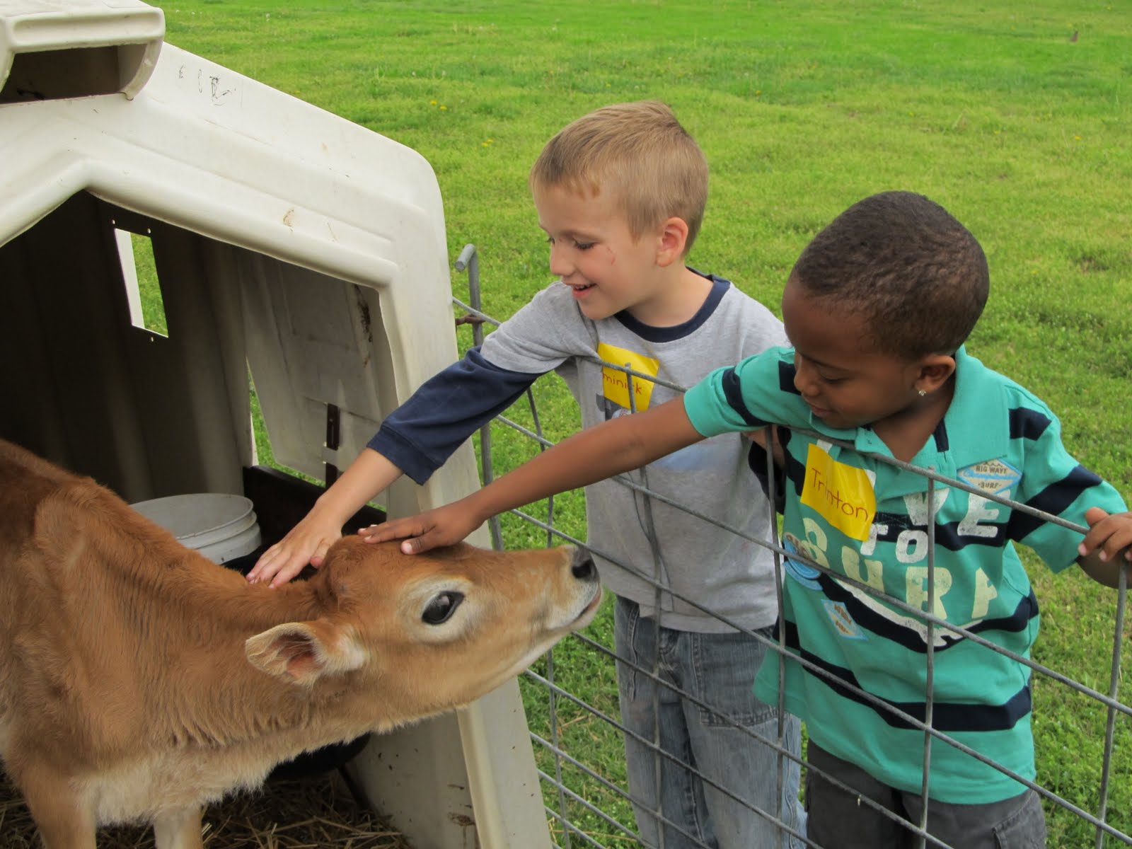 Mrs. Kindergarten Class Chaney's Dairy Farm Field Trip!