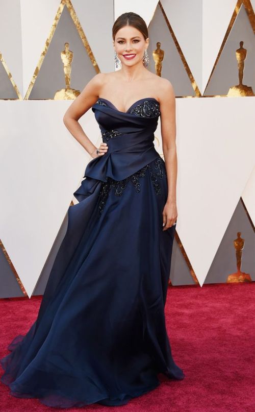Sofia Vergara in a Marchesa gown at the Oscars 2016