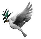 I am With Open Source Cara Buat Animasi Burung Bergerak I am With Open Source Cara Buat Animasi Burung Bergerak