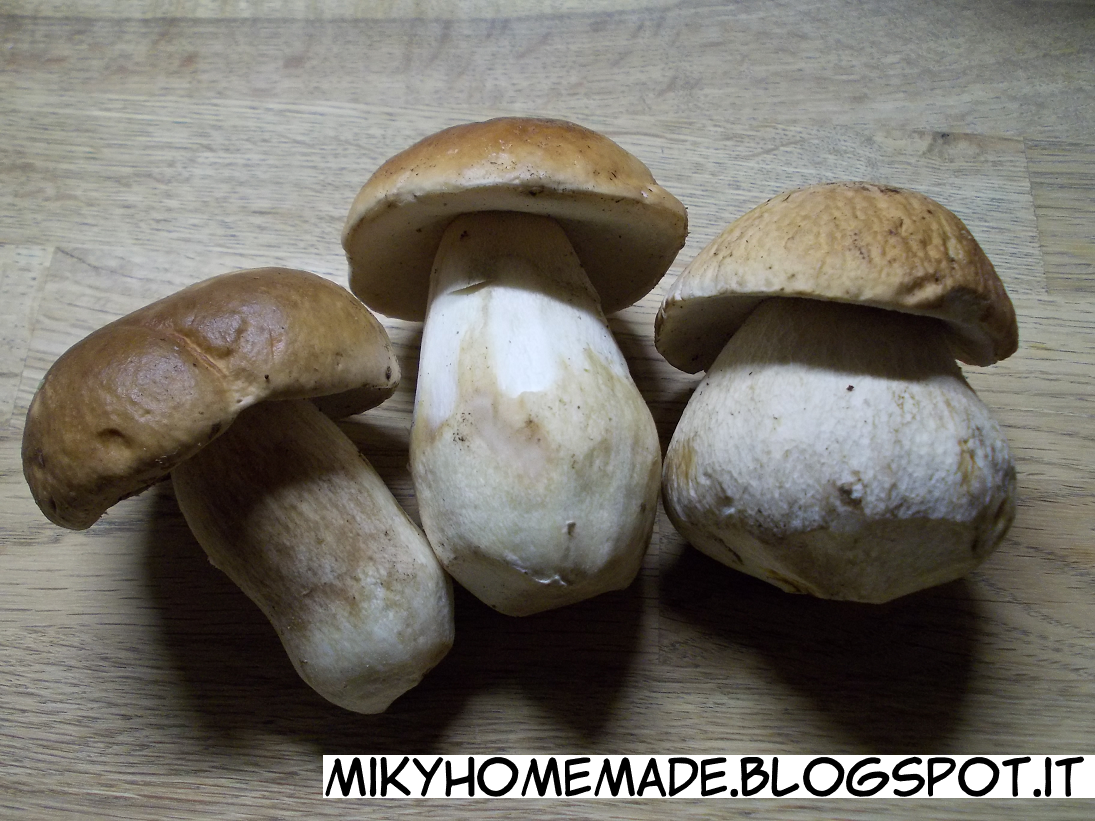 ...Miky homemade... Blog chiuso Sugo con