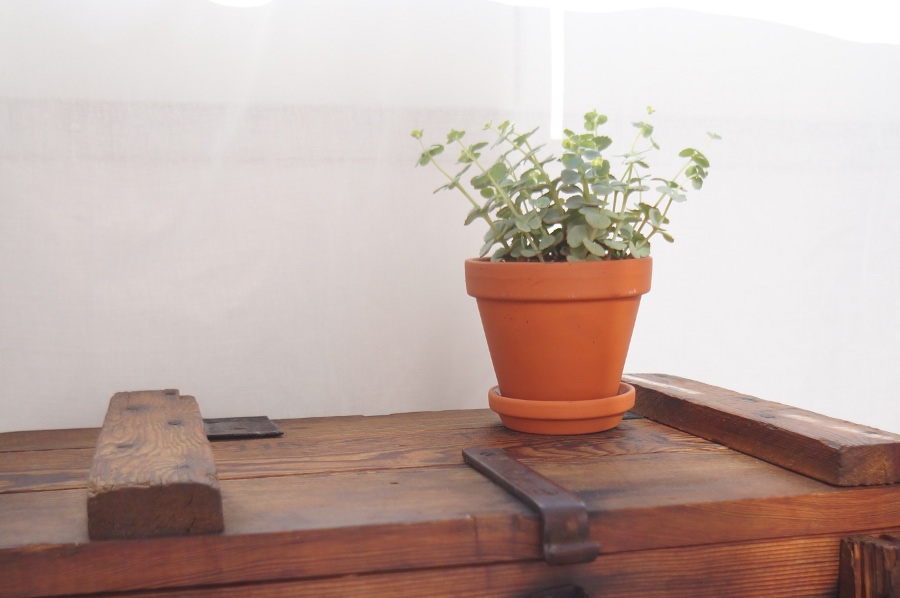 Geschwister Gezwitscher: Juli 2013