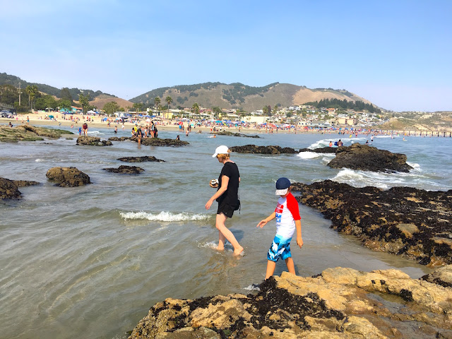 Andrea's Wellness Notes: Sentence a Day: July 2017