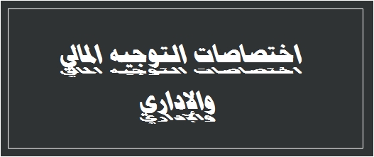 اختصاصات التوجيه المالي والإداري طبقاً لما ورد بالقرار الوزاري رقم 168 422