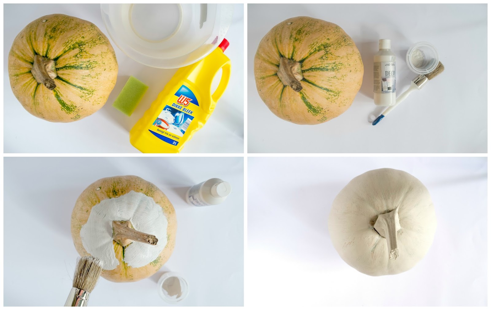 Hoe maak je 3D bloemetjes op pompoenen 