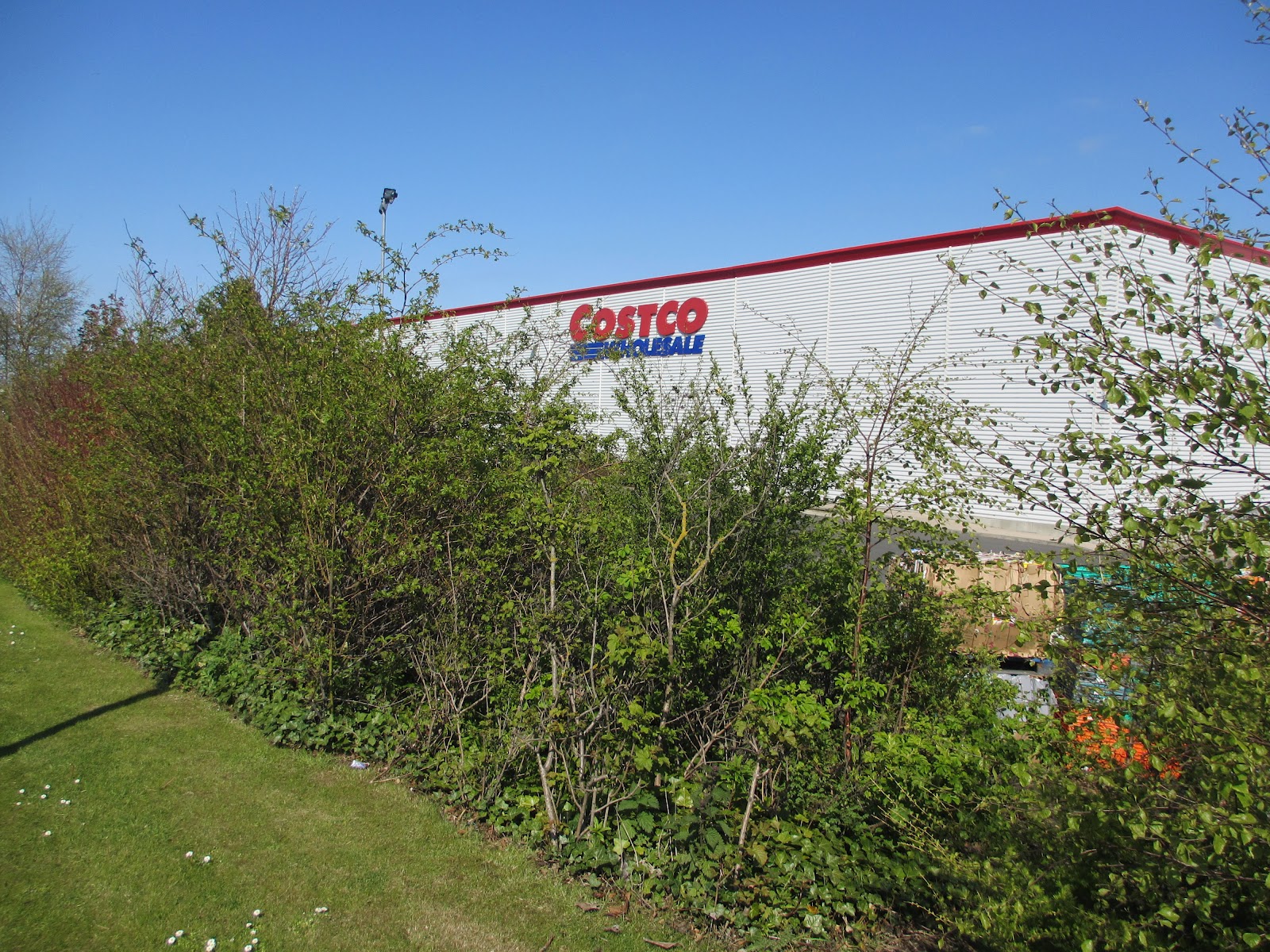 The WellWatered Garden Costco, Edinburgh Style