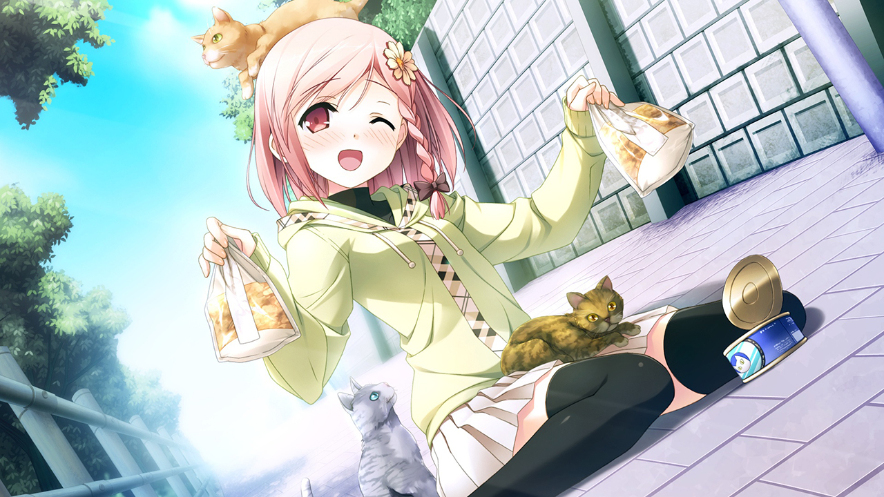 Cute-Anime-Girl-With-Cat-Wallpaper-HD-Desktop_1280x720.jpg