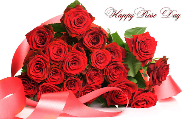 rose day rose day
