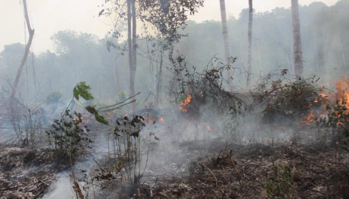Masalah Lingkungan Di Indonesia