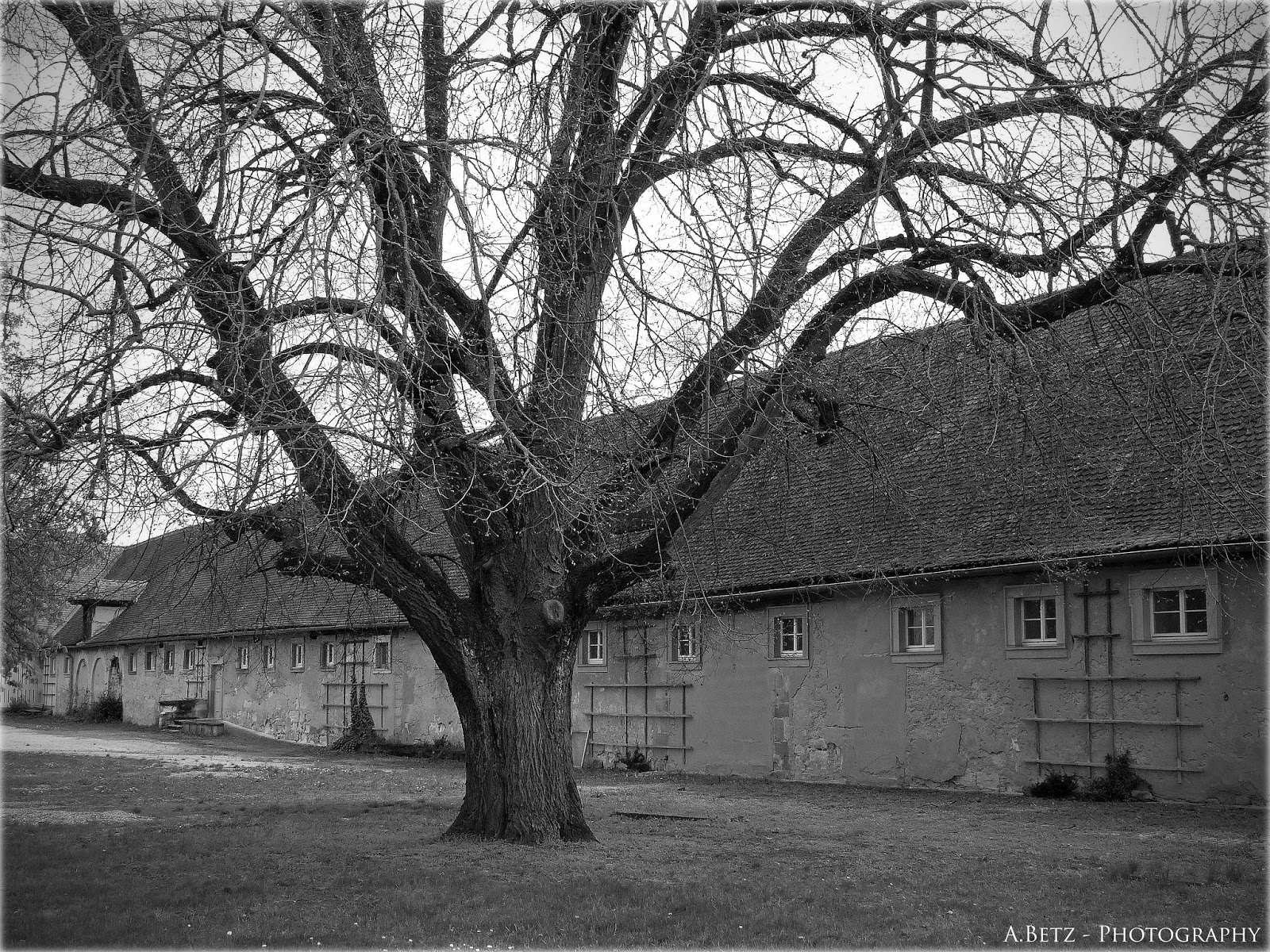 Augenblicke Fotografie Schloss Weingartsgreuth