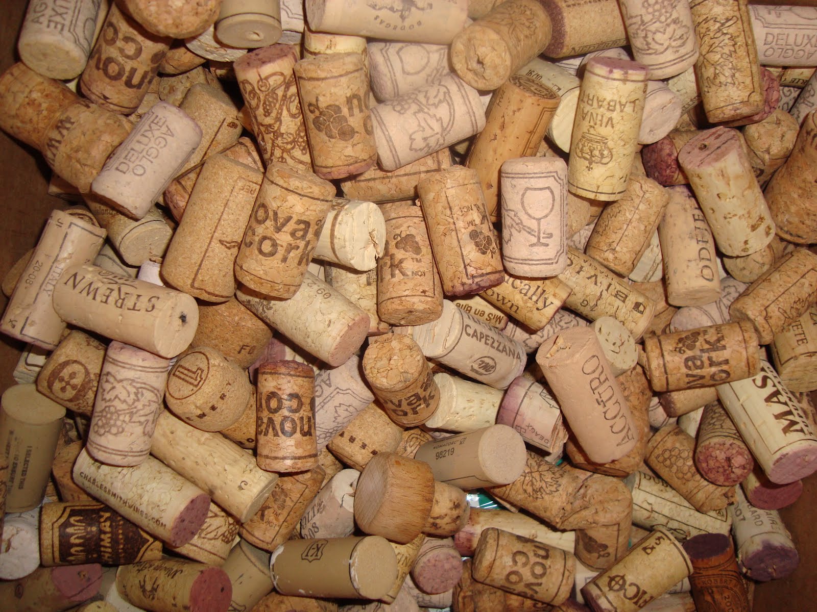 Jelinek Cork Group Get Corking Kids and Recycled Cork