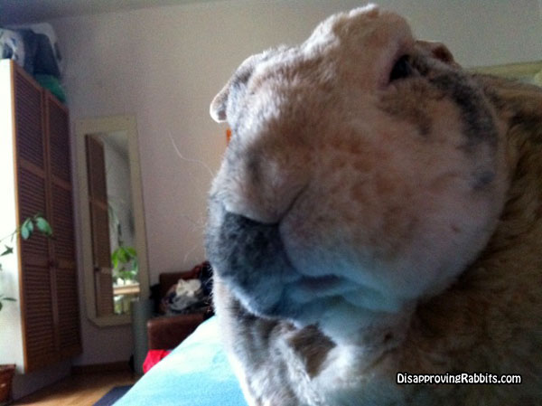 East Nashville Farmers Market