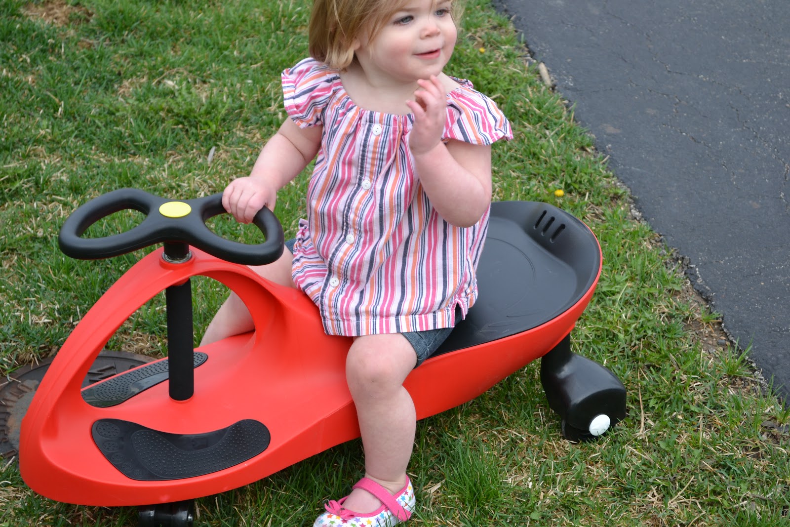 Little Quail Busy little Quail