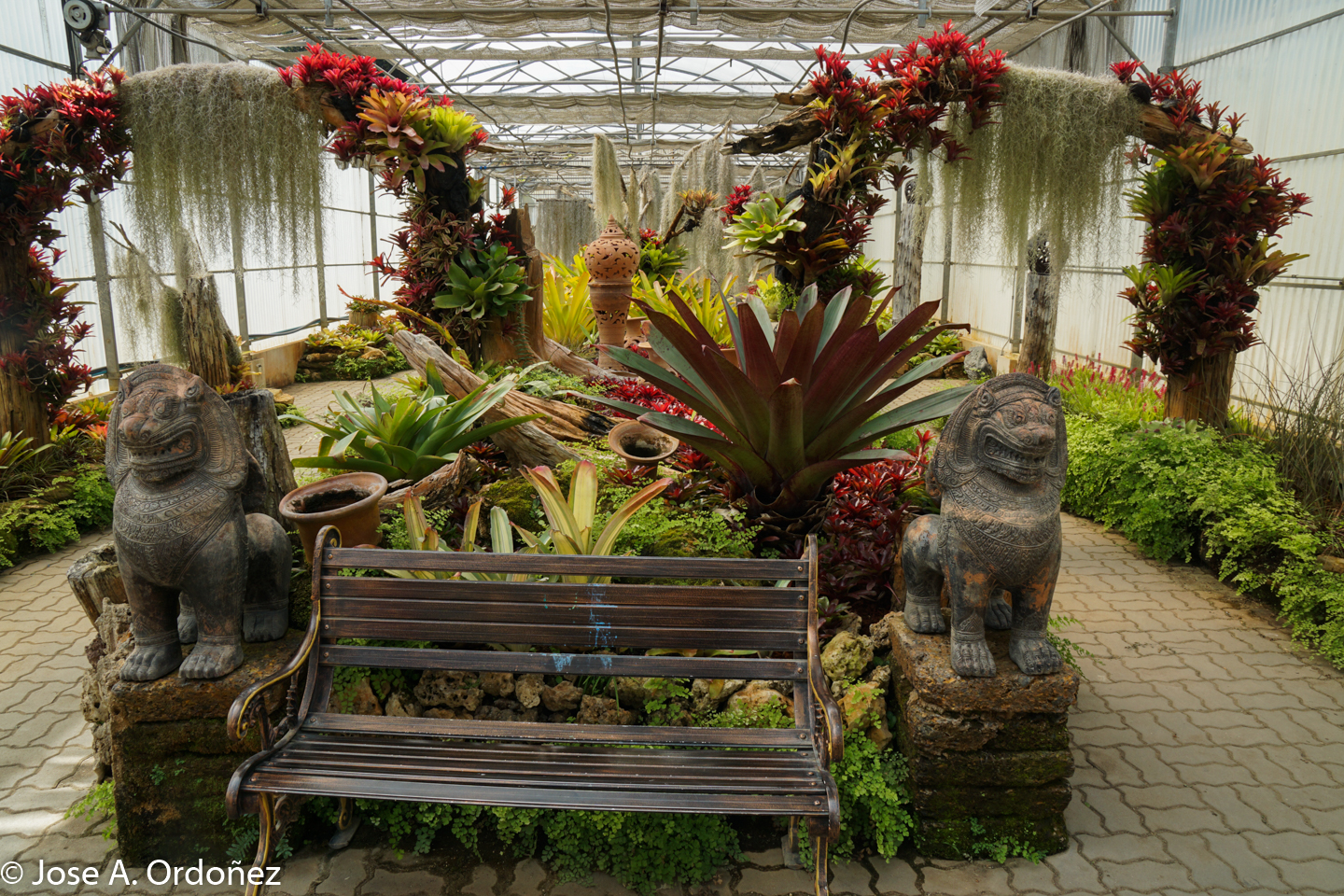 El Jardín de la Barrosa Jardín Botánico Reina Sirikit de Tailandia