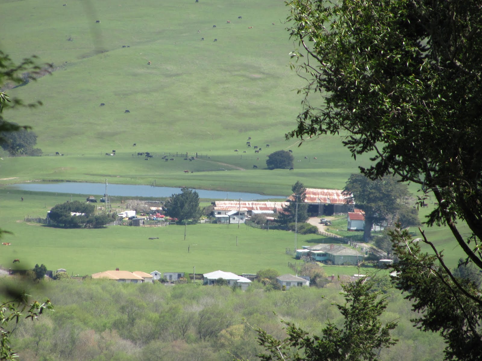 Ranch buildings in West Marin