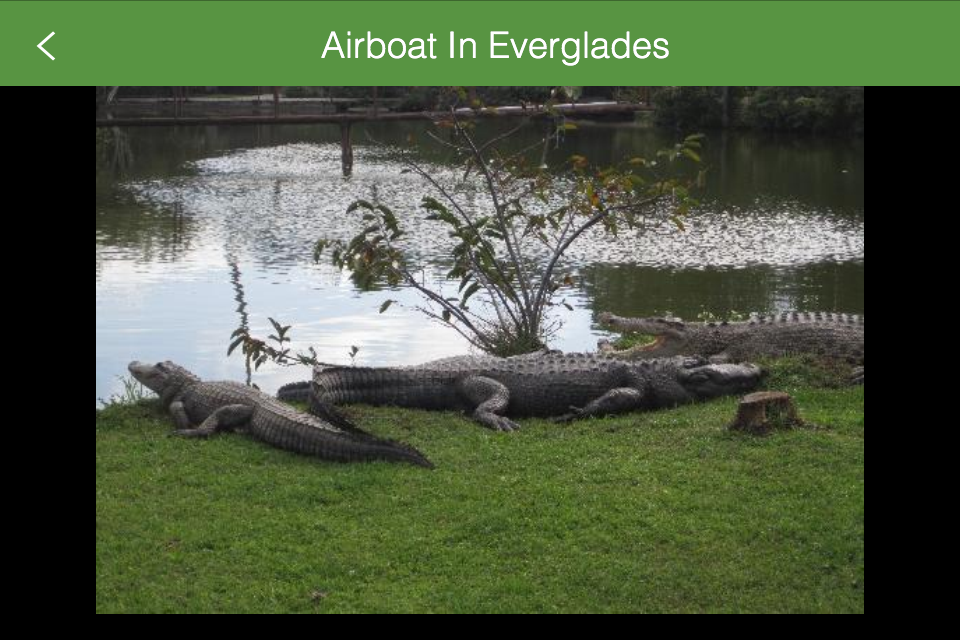 airboats everglades