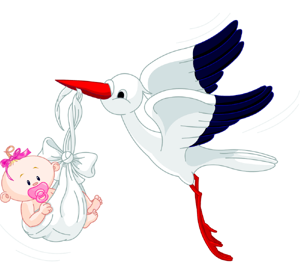 Stork Carrying a Baby