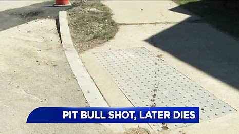 Can I Bury My Dog In My Backyard In Pennsylvania Can I Bury My Dog In My Backyard In Pennsylvania