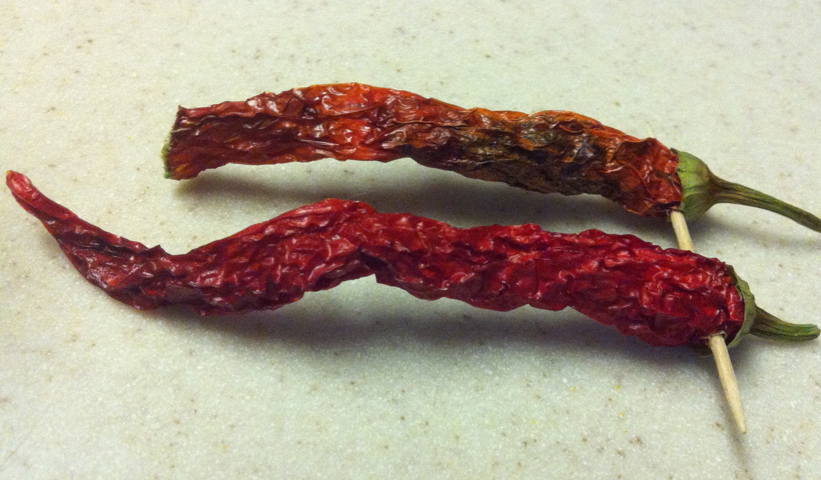 The Five Dollar Garden Growing Peppers from Dried Peppers