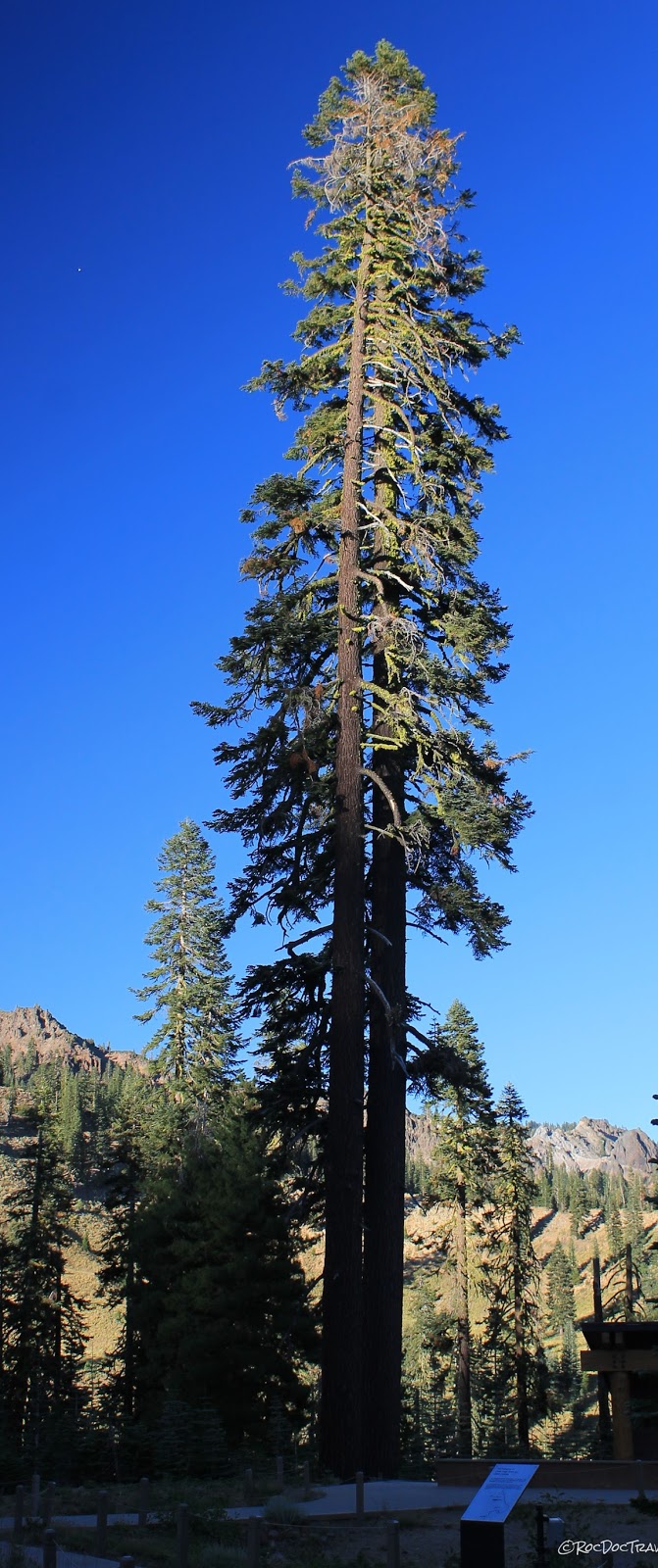 Lassen Volcanic National Park, Mineral - CA