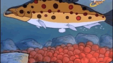 Unfortunately, Your Childhood Cartoons Weren’t As Innocent As You Thought (Photos) - Why did a giant fish have to squirt on the “Magic School Bus”?