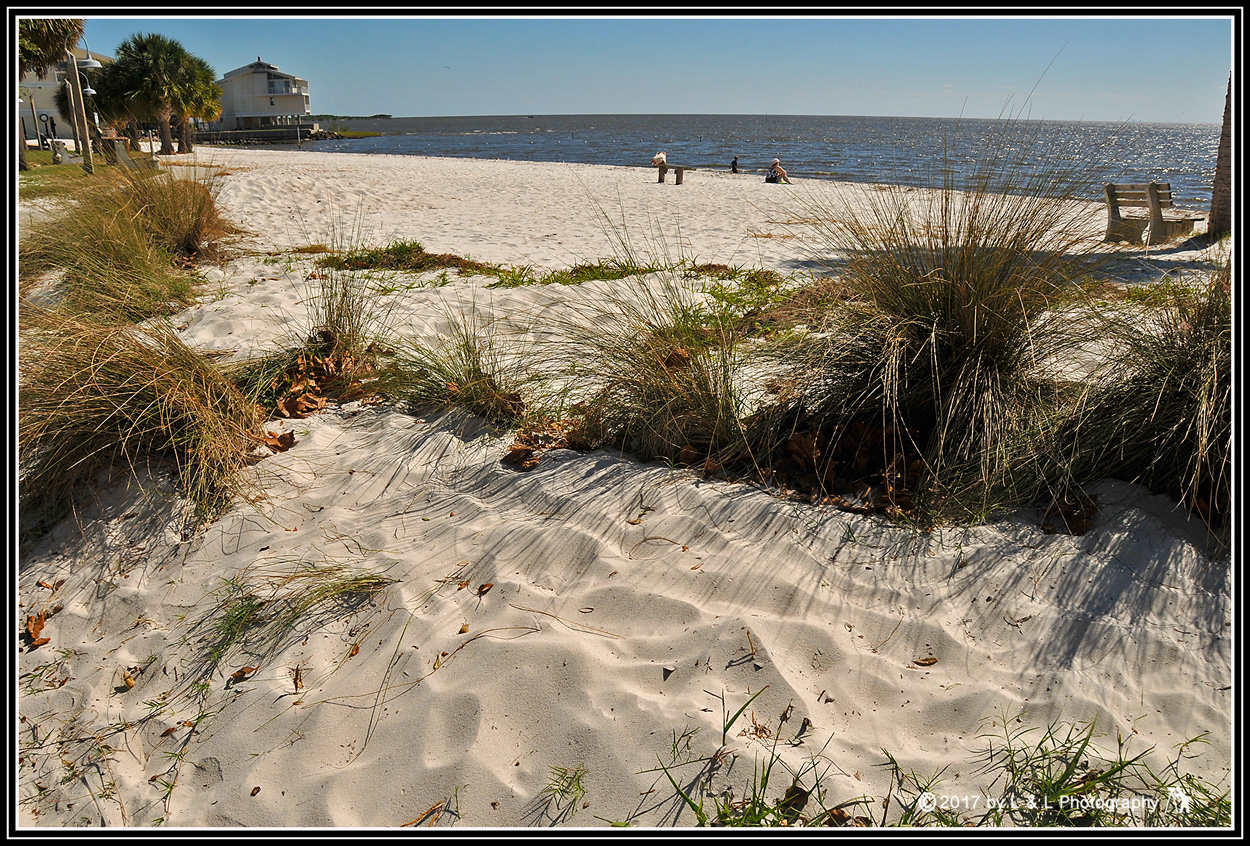 Cedar Key (Florida) Photos Cedar Key Beach