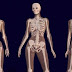 Scientist Reveal What Cannabis Does to Your Bones…