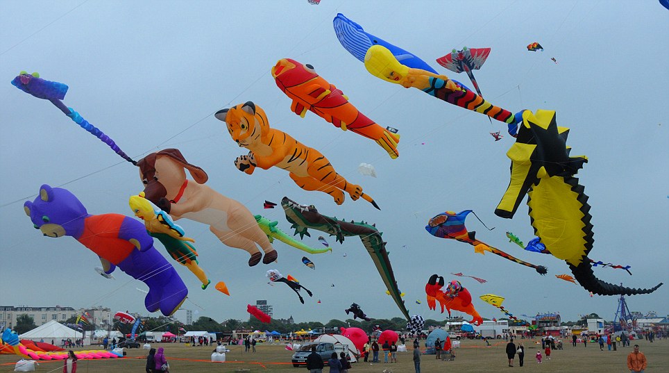 TheNextPicture International Kite Festival
